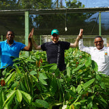 equal exchange worker holding hands with farmers
