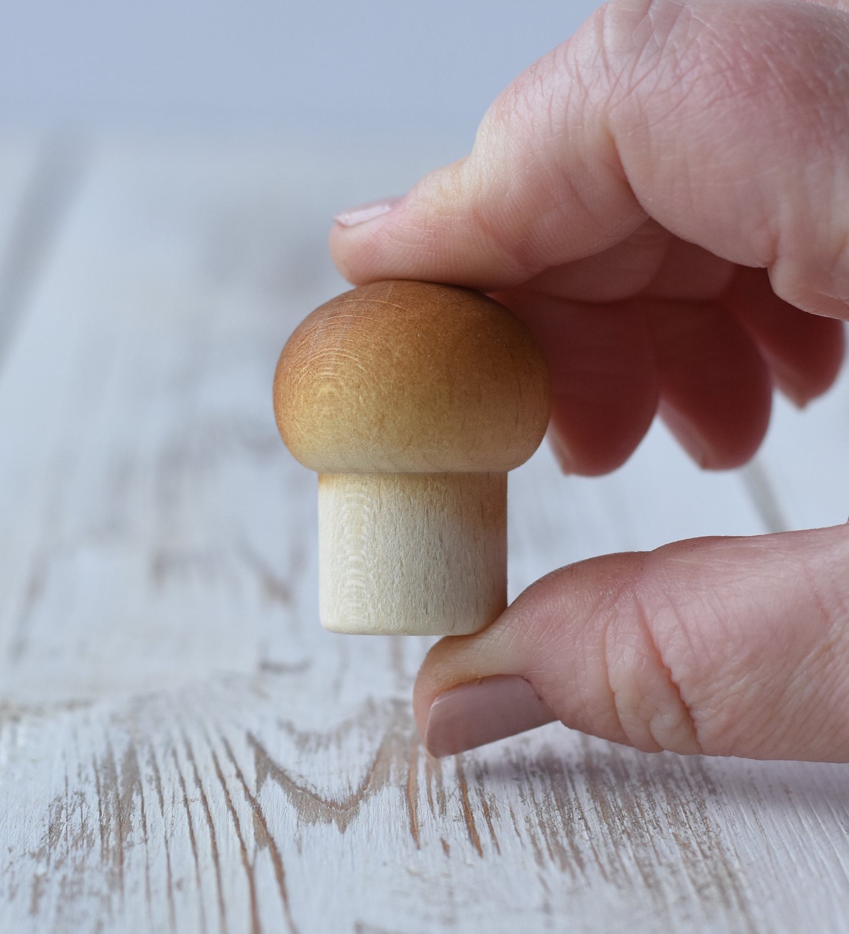 Erzi small mushroom wooden toy play food in an adult's hand. 