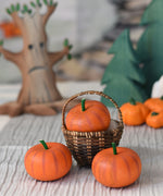 An Erzi pumpkin placed in a Kraul basket with two other Erzi pumpkins placed in front of it. 