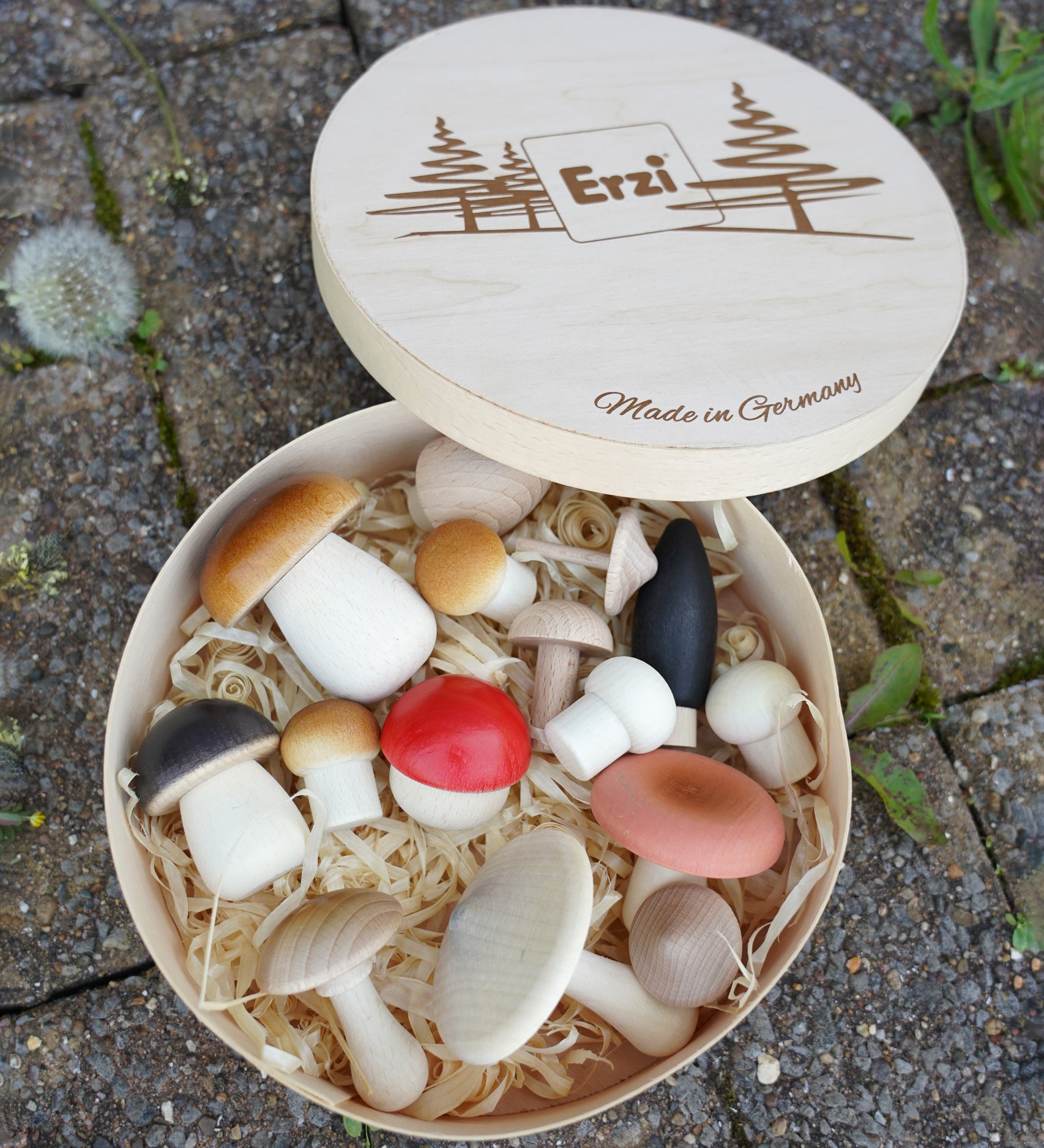 Erzi wooden painted forest toy mushrooms in a round wooden box. 