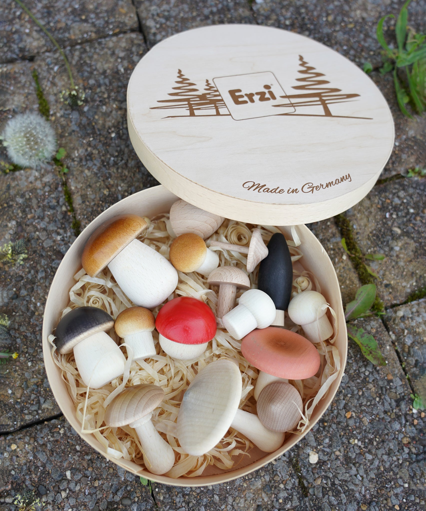 Erzi wooden painted forest toy mushrooms in a round wooden box. 