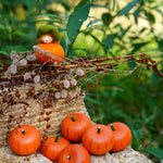 A collection of Erzi Pumpkin Wooden Play Food outside with an Ambrosius felt pumpkin fairy and green leaves in the background.
