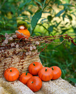 A collection of Erzi Pumpkin Wooden Play Food outside with an Ambrosius felt pumpkin fairy and green leaves in the background.