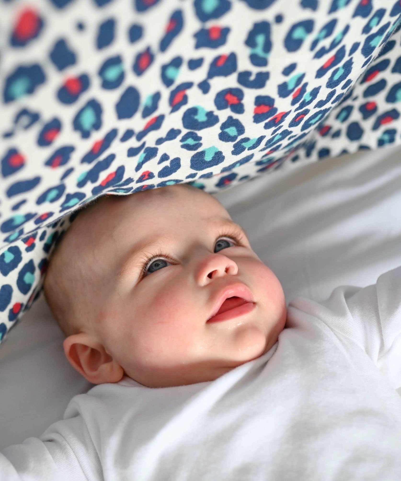 A baby looking at the visually stimulating Etta Loves colourful leopard print muslin square.
