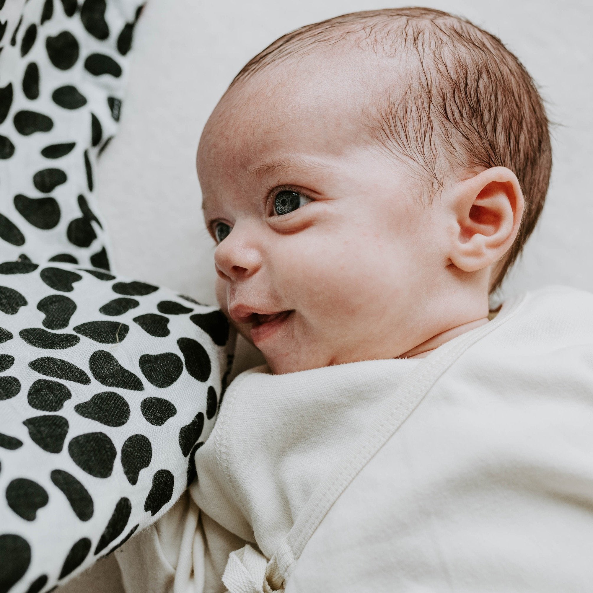 A tiny baby looking at the Etta Loves dalmatian organic cotton muslin square.