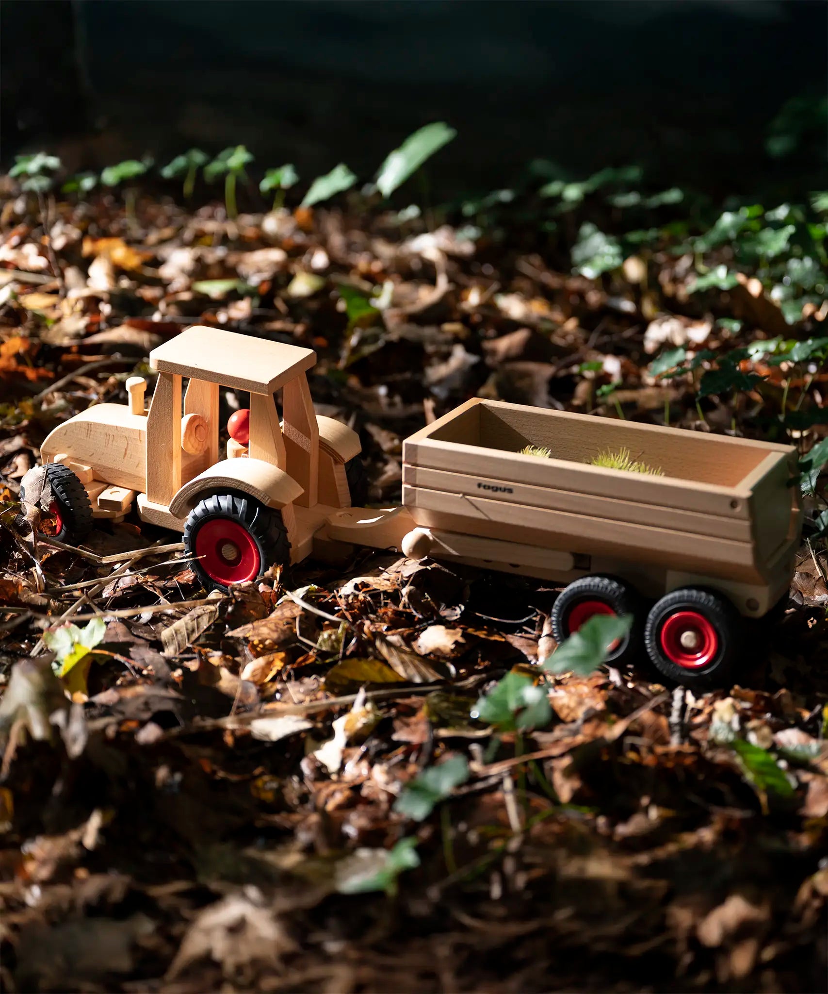 Fagus wooden trailer hitched onto a tractor, with the trailer filled with conkers.