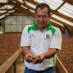 farmer holding cocoa beans in hand