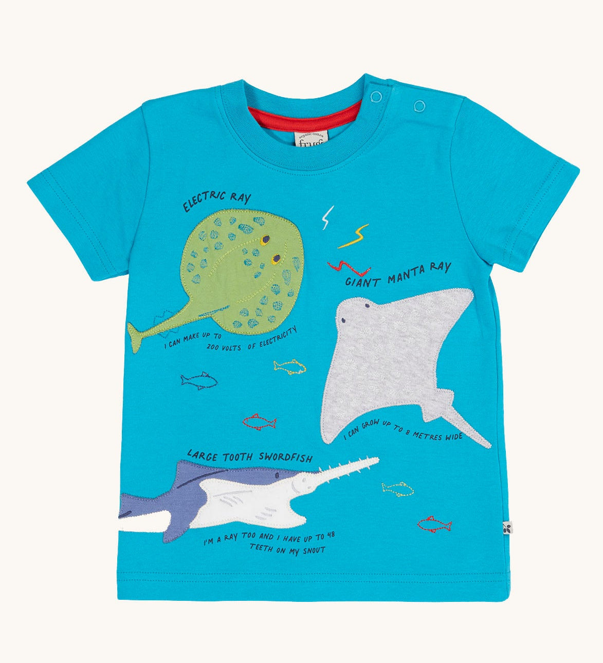 Frugi blue short sleeved organic t-shirt with three sea creature appliques on the front. An electric ray, a giant manta ray and a large tooth swordfish all with the names embroidered above them and a fact about them embroidered underneath. 