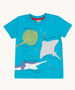Frugi blue short sleeved organic t-shirt with three sea creature appliques on the front. An electric ray, a giant manta ray and a large tooth swordfish all with the names embroidered above them and a fact about them embroidered underneath. 