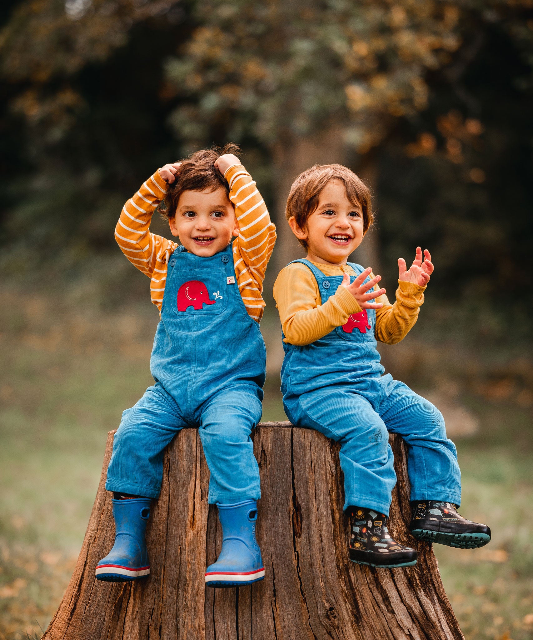 Two children sitting on a tall tree stump, both are wearing blue Frugi Babipur cord dungarees. 