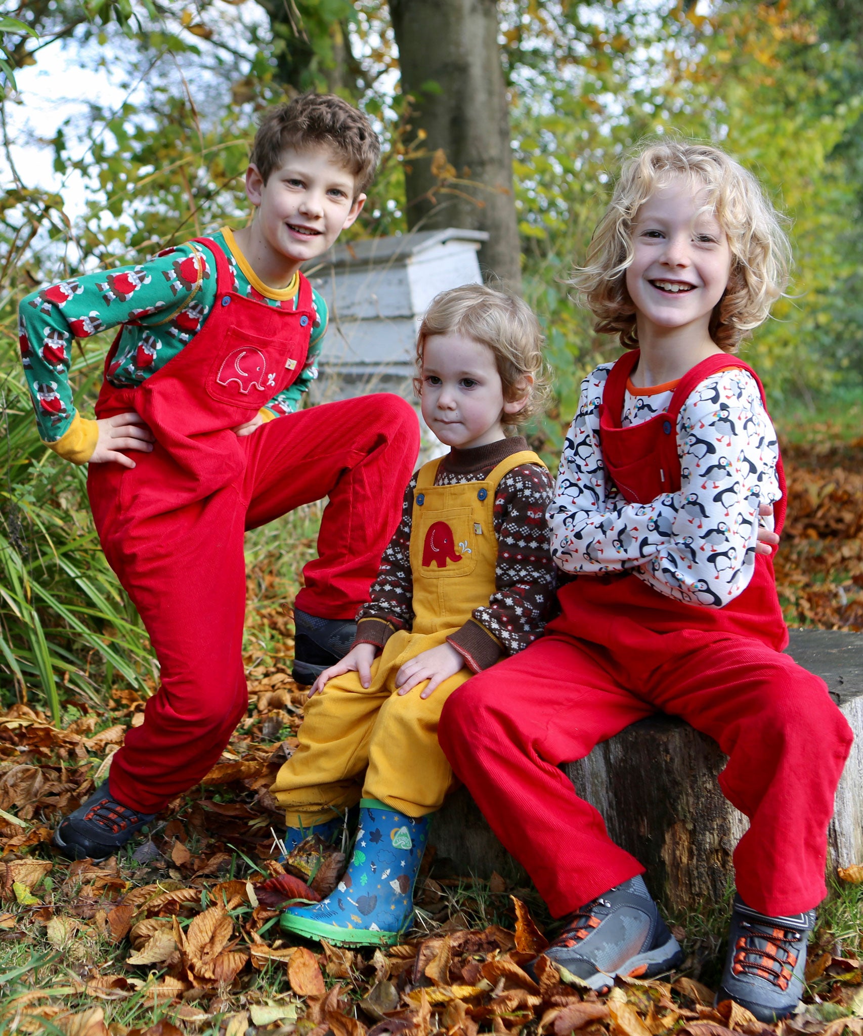 Three children sitting on a large tree stump. Two are wearing the red Frugi Babipur cord dungarees and one is wearing teh yellow version. 
