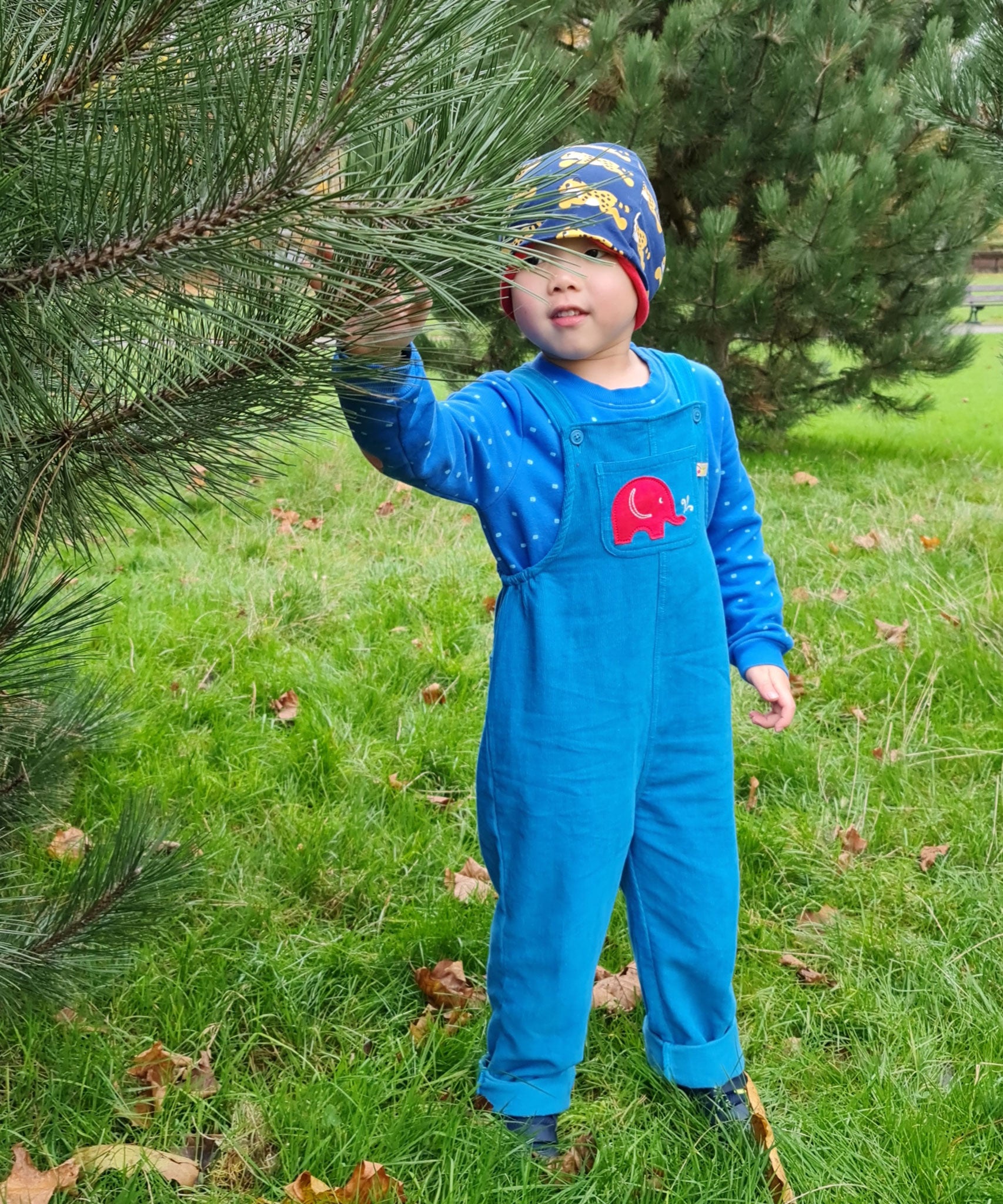 A child standing besides a tree wearing the blue Frugi Babipur cord dungarees.