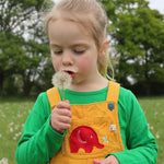 A child wearing the Frugi Babipur yellow cord dungarees blowing on a dandelion. 