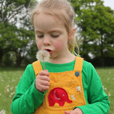 A child wearing the Frugi Babipur yellow cord dungarees blowing on a dandelion. 