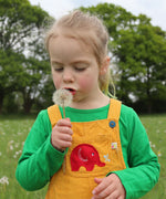 A child wearing the Frugi Babipur yellow cord dungarees blowing on a dandelion. 