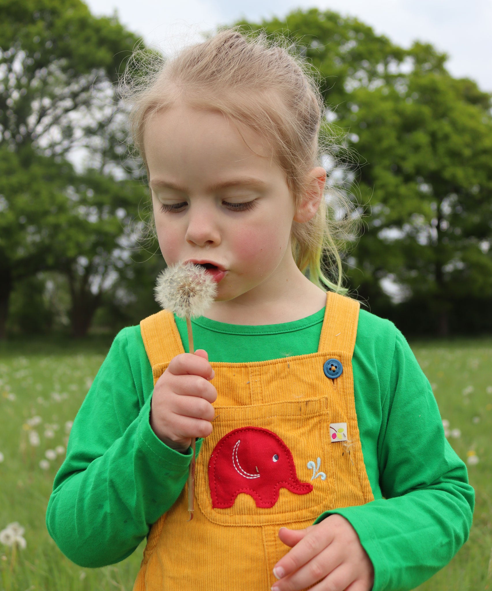 A child wearing the Frugi Babipur yellow cord dungarees blowing on a dandelion. 