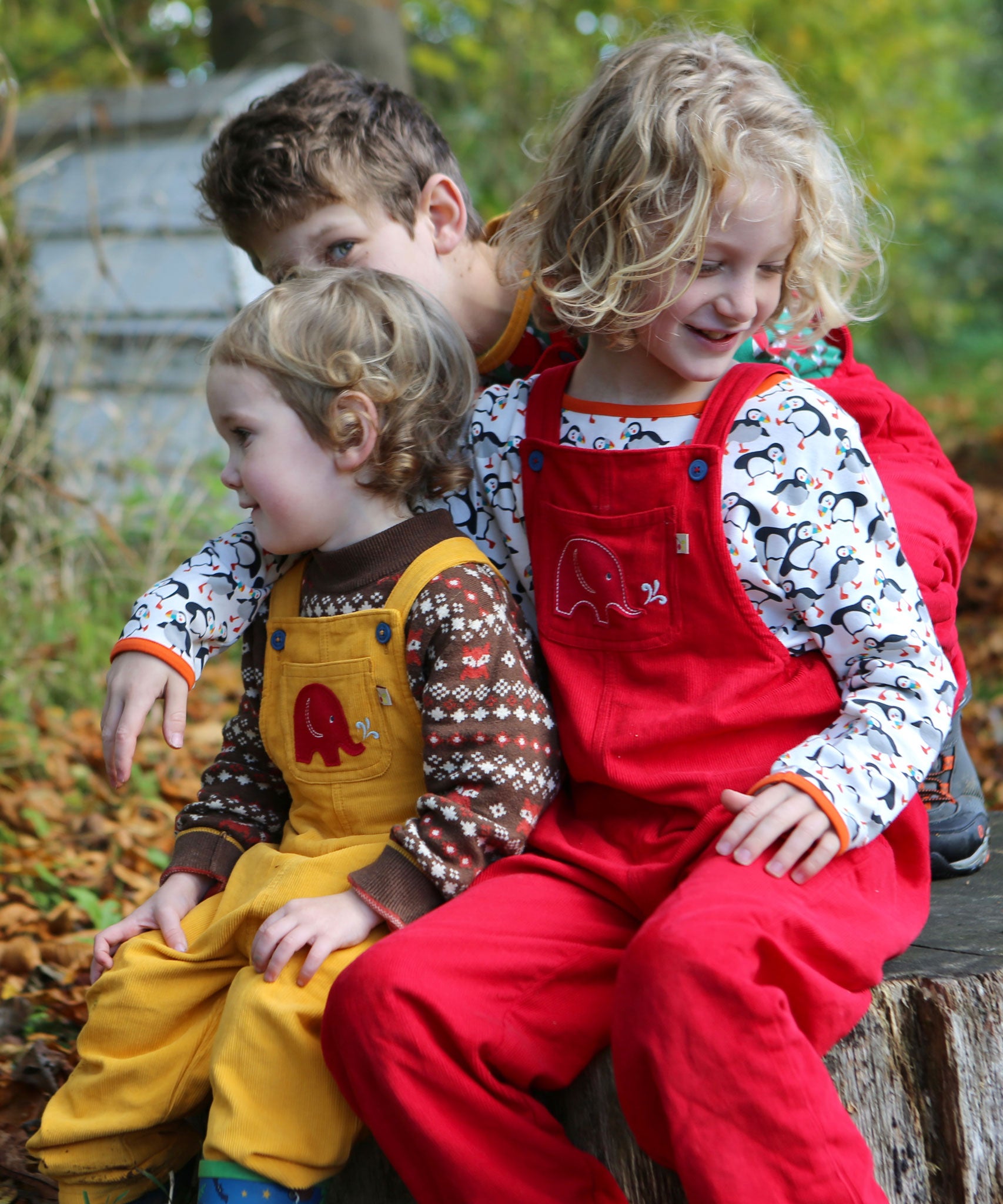 Three children sitting on a large tree stump. All of them are wearing Frugi Babipur cord dungarees. 