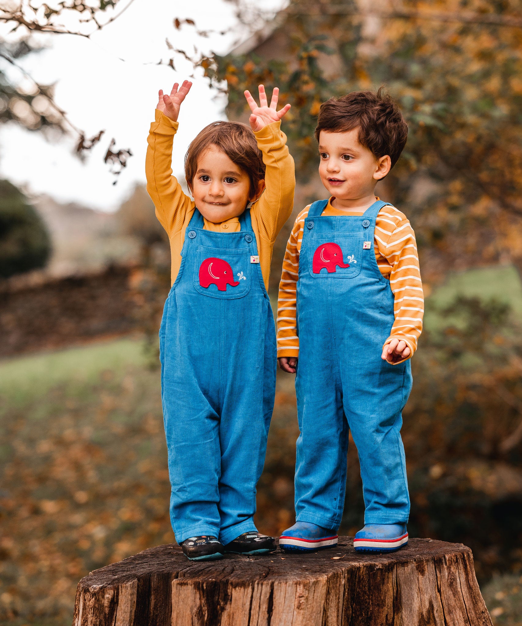 Two children standing on a tree stump wearing the blue Frugi Babipur cord dungarees. Both children are wearing yellow long sleeved tops underneath, one is holding both their hands up in the air. 
