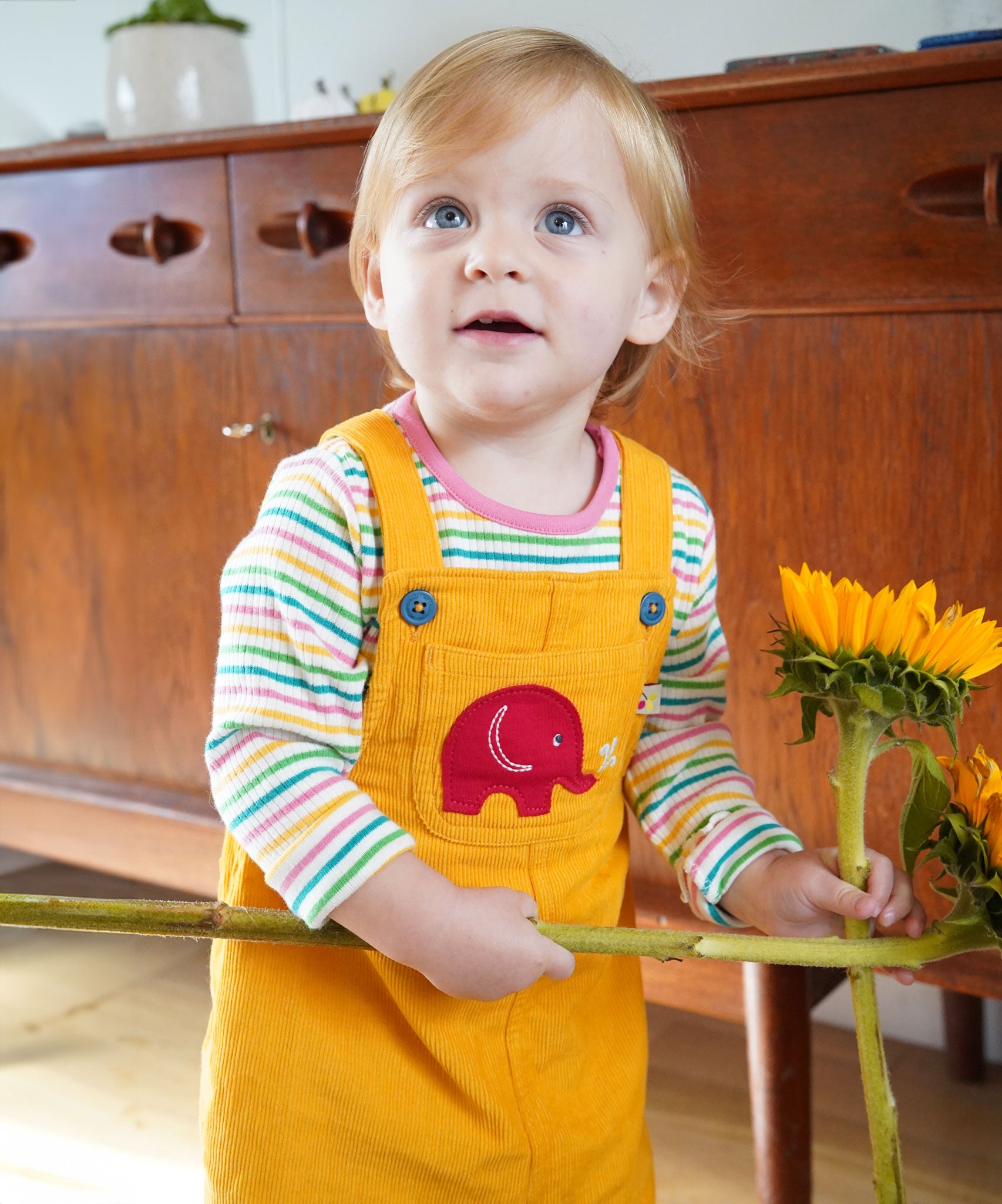 A toddler wearing the yellow cord Frugi Babipur dungarees holding onto large sunflowers. 