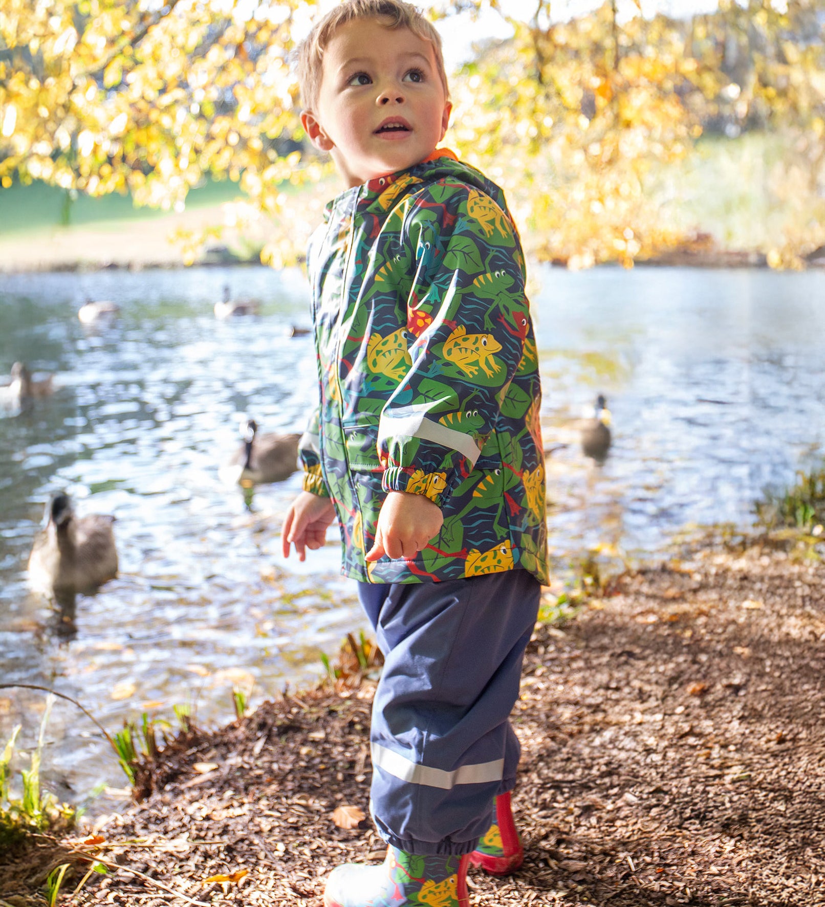 A toddler standing by a lake and wearing the Frugi puddle buster navy trousers, be hoppy coat and matching puddle buster wellington boots  A natural rubber and waterproof wellington boot in navy with red trim with prints of multicoloured frogs.