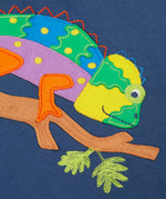 A close up of the chameleon applique on the front of the Frugi children's organic cotton hoodie. The multi coloured chameleon applique has embroidered details. 