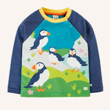 Frugi horizon raglan long sleeve organic cotton top featuring a puffin design on the front on the front and navy sleeves.