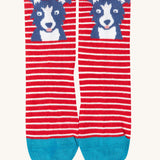 The red dog design socks from the Frugi Little Socks for baby and toddlers in a 3 pack featuring farm themed striped designs.