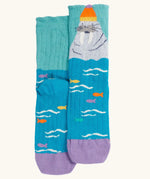 The walrus pair from the Frugi organic cotton character socks 2 pack. Blue socks with fish and a walrus wearing a bobble hat.