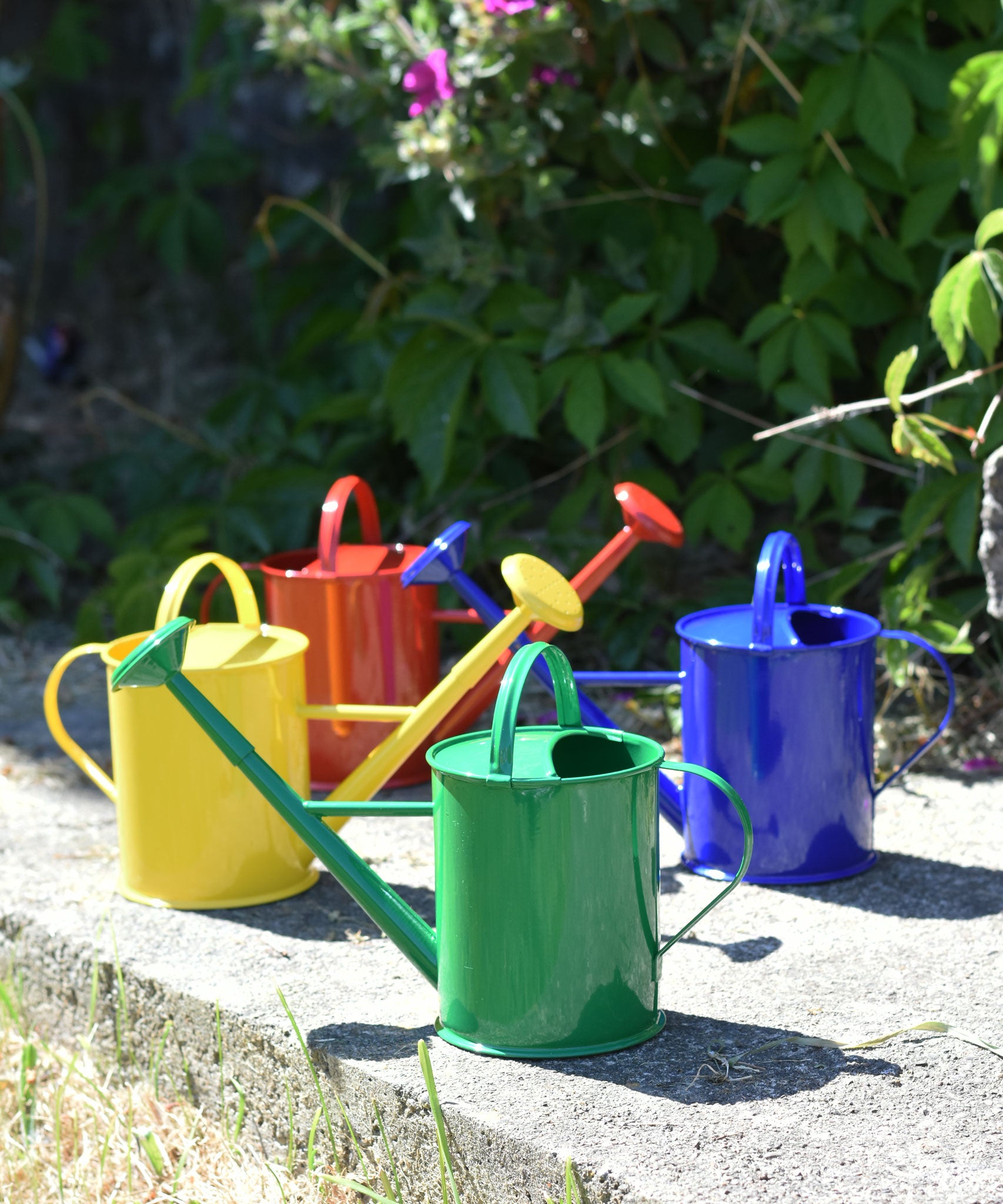 A collection of Glückskäfer Children's 1L Metal Watering Cans. There is a yellow, red, green and blue coloured watering can placed on a concrete surface outdoors. 