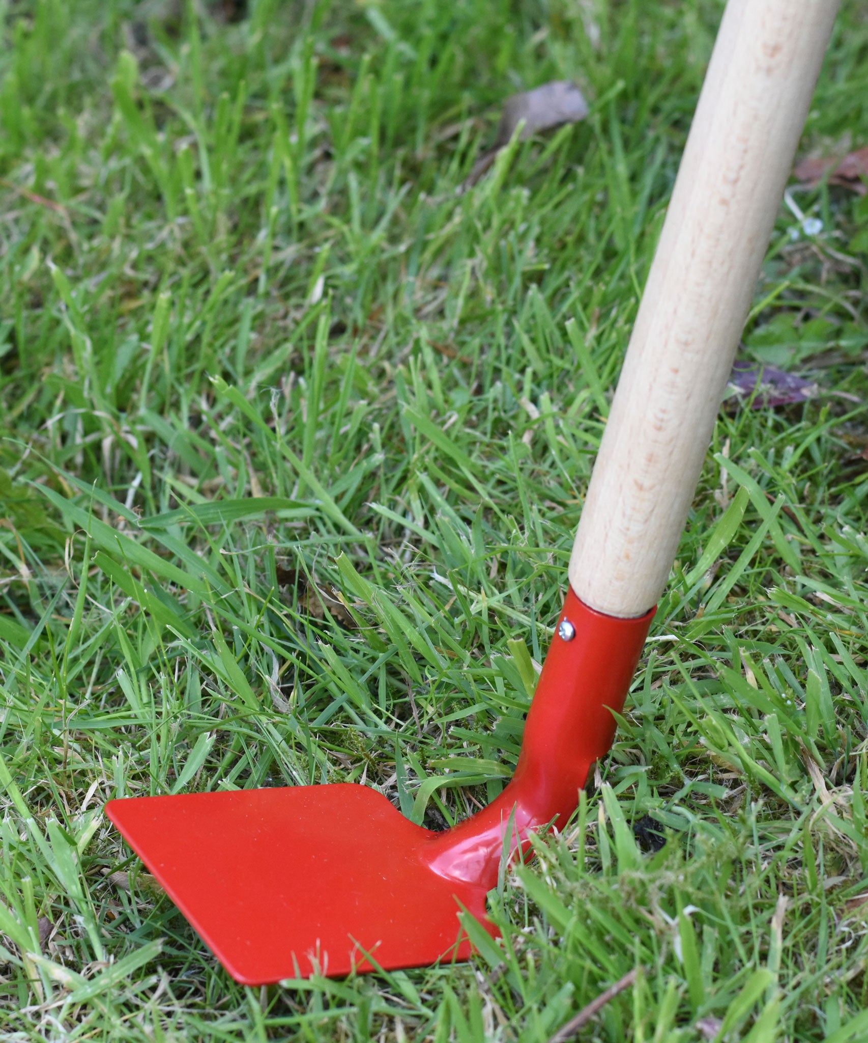 A close up of the red head on the Glückskäfer Metal Red Hoe.