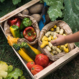 A child reaching for some Grapat yellow wooden Mandala Tulips 36x Pieces that have been placed in a paper bag. These wooden loose part toys are part of a wide range of open ended toys available at Babipur. 