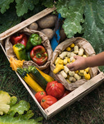A child reaching for some Grapat yellow wooden Mandala Tulips 36x Pieces that have been placed in a paper bag. These wooden loose part toys are part of a wide range of open ended toys available at Babipur. 