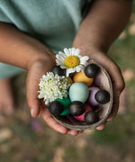 Grapat 6 Dark Baby Nins. A set of 6 small dark wooden baby Nin peg dolls in half a coconut shell, held in a child's hands. Grapat have a wide range of wooden toys and loose parts available at Babipur. 