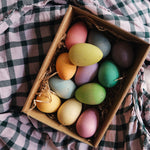 twelve wooden grapat happy eggs in the cardboard box