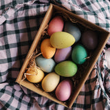 twelve wooden grapat happy eggs in the cardboard box