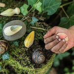 Close up of a childs hand holding a Grapat eco-friendly wooden wild creature toy above some dark green leaves