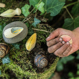 Close up of a childs hand holding a Grapat eco-friendly wooden wild creature toy above some dark green leaves