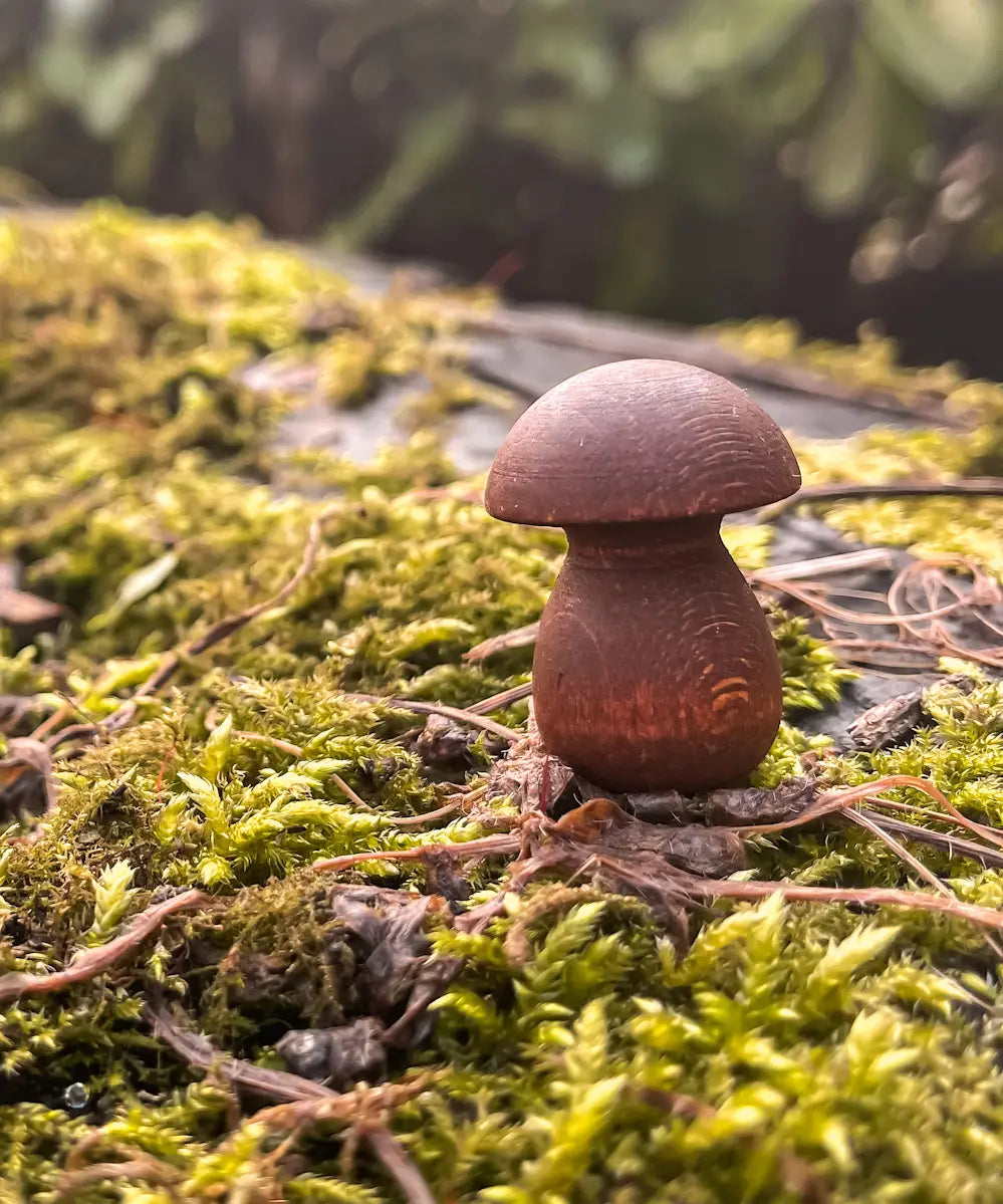 A loose wooden Grapat mini mushroom piece on moss