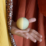 A close up of the wooden bird and two colourful mushrooms from the Grapat Moonlight Tale Play Set