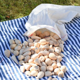 Grapat natural mandala pieces placed on a blanket outdoors.