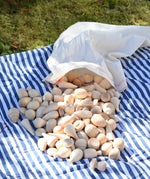 Grapat natural mandala pieces placed on a blanket outdoors.