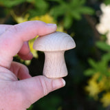 Grapat natural mushrooms in an adult's hand.