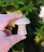 Grapat natural mushrooms in an adult's hand.