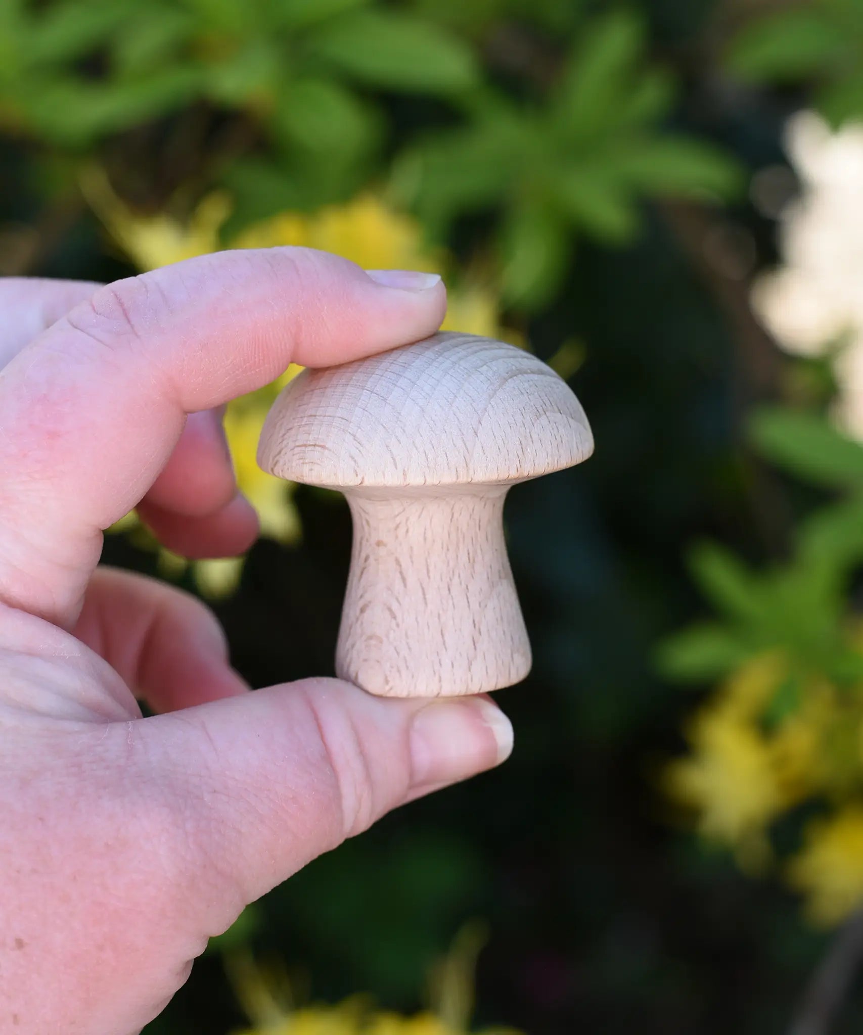 Grapat natural mushrooms in an adult's hand.