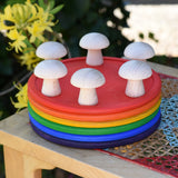 Grapat 6 Natural Mushrooms placed on a stack of rainbow dishes.