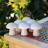 Grapat 6 Natural Mushrooms loose parts placed on a stooll outdoors.