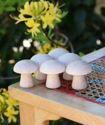 Grapat 6 Natural Mushrooms loose parts placed on a stooll outdoors.