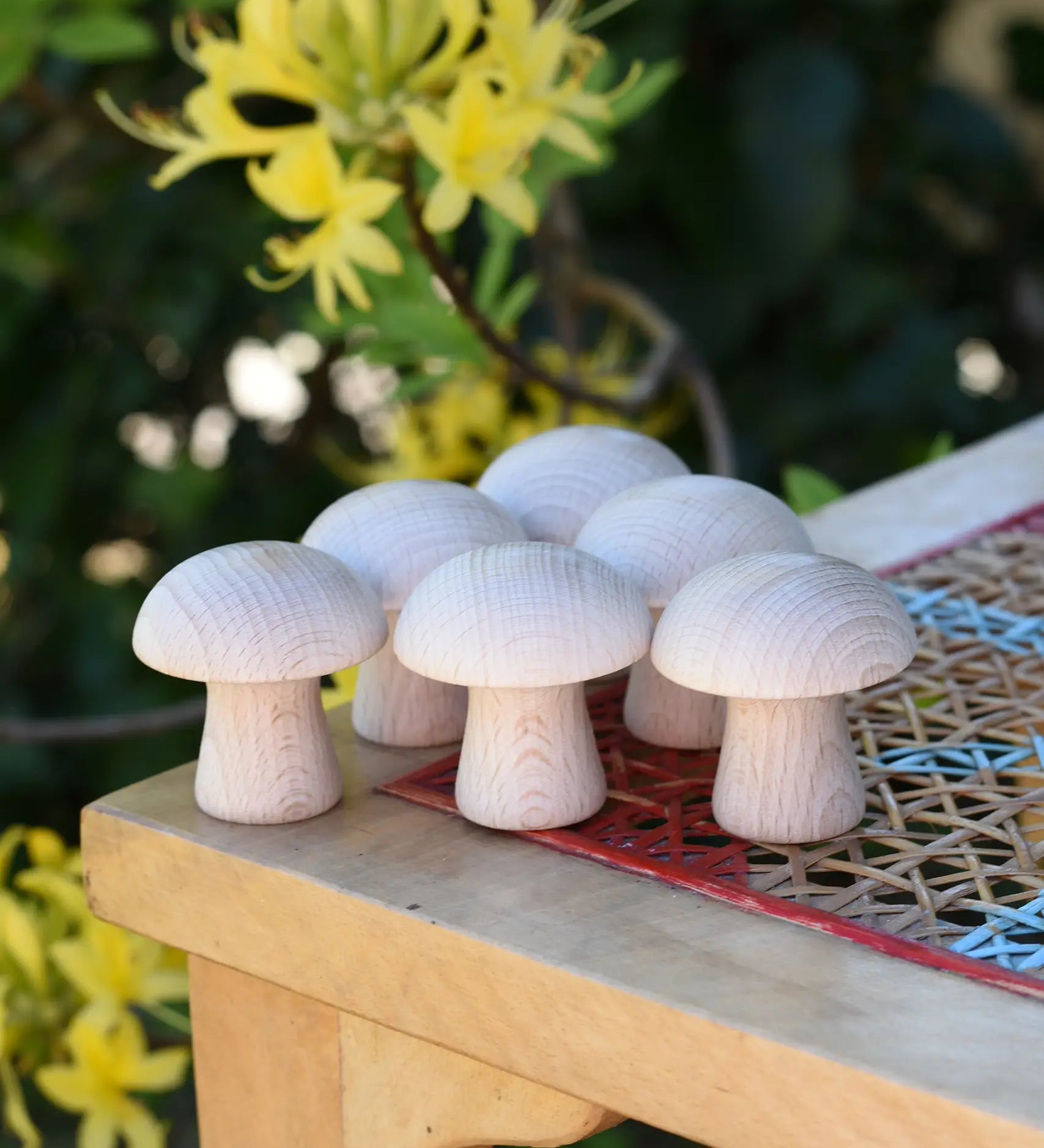 Grapat 6 Natural Mushrooms loose parts placed on a stooll outdoors.