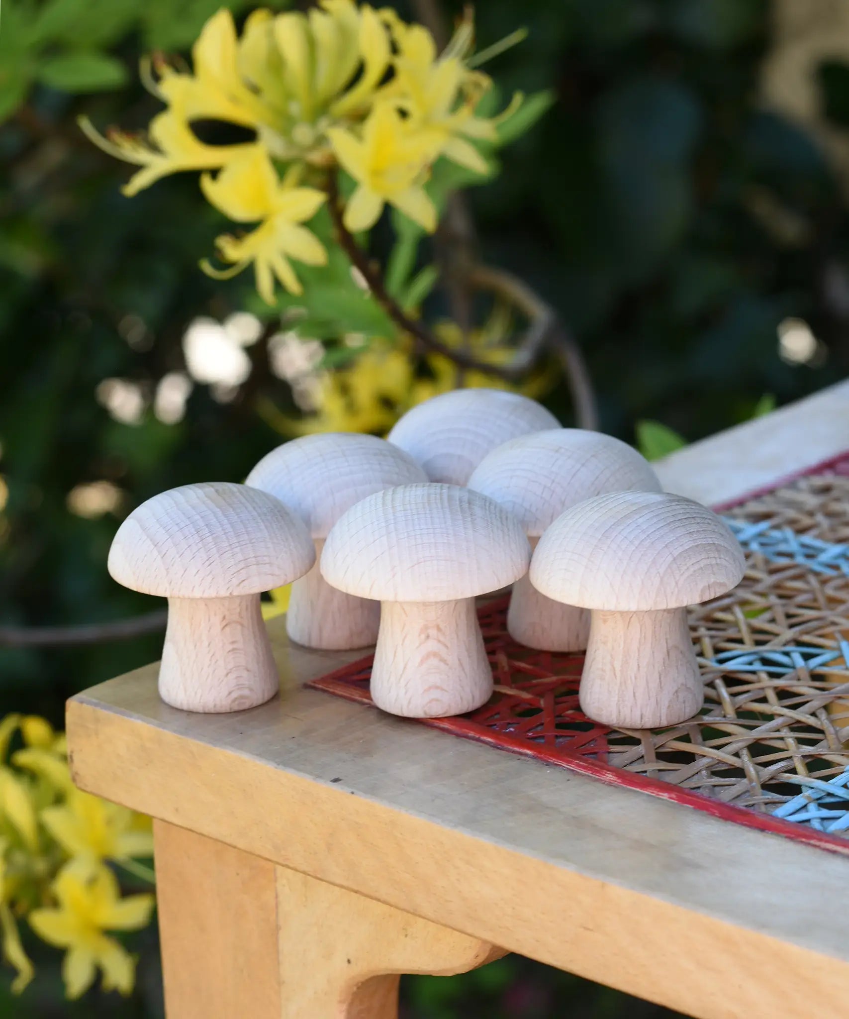 Grapat 6 Natural Mushrooms loose parts placed on a stooll outdoors.