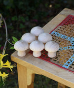 Grapat 6 Natural Mushrooms placed on a stooll outdoors. 